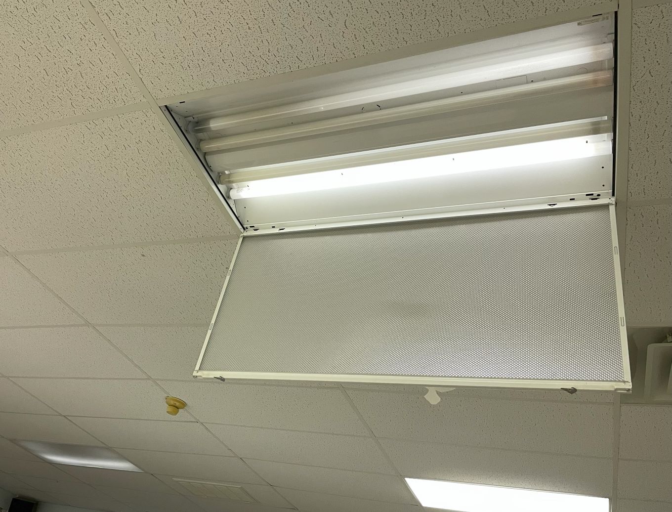 Reva Decora with church van